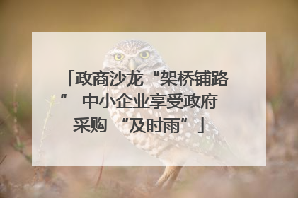 政商沙龙“架桥铺路” 中小企业享受政府采购 “及时雨”