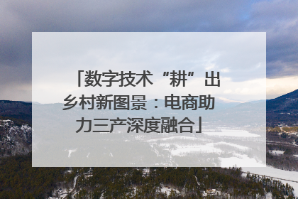 数字技术“耕”出乡村新图景：电商助力三产深度融合
