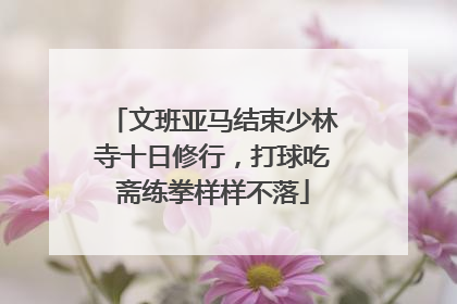 文班亚马结束少林寺十日修行，打球吃斋练拳样样不落