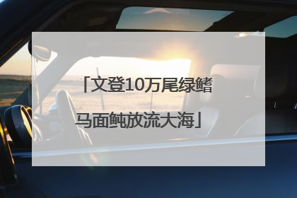 文登10万尾绿鳍马面鲀放流大海