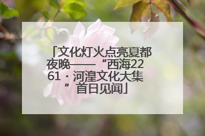 文化灯火点亮夏都夜晚——“西海2261・河湟文化大集”首日见闻