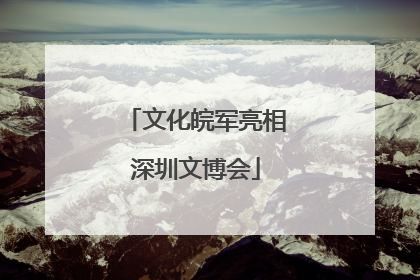 文化皖军亮相深圳文博会