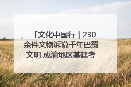 文化中国行｜230余件文物诉说千年巴蜀文明 成渝地区基建考古成果展开展
