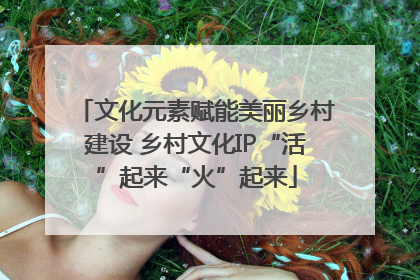 文化元素赋能美丽乡村建设 乡村文化IP“活”起来“火”起来