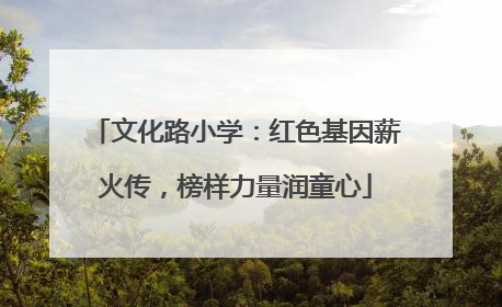 文化路小学：红色基因薪火传，榜样力量润童心