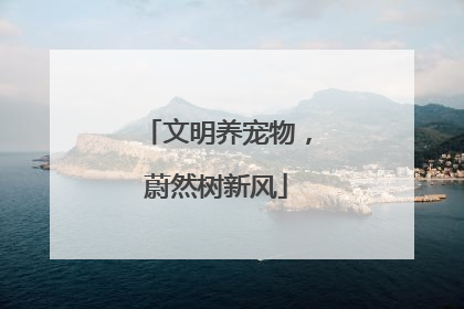 文明养宠物，蔚然树新风