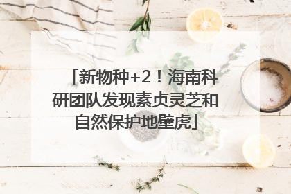 新物种+2！海南科研团队发现素贞灵芝和自然保护地壁虎