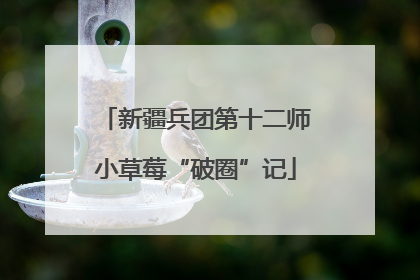 新疆兵团第十二师小草莓“破圈”记
