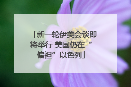 新一轮伊美会谈即将举行 美国仍在“偏袒”以色列