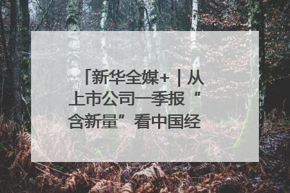 新华全媒+｜从上市公司一季报“含新量”看中国经济发展向“新”