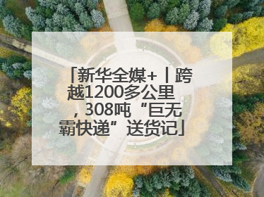 新华全媒+丨跨越1200多公里，308吨“巨无霸快递”送货记