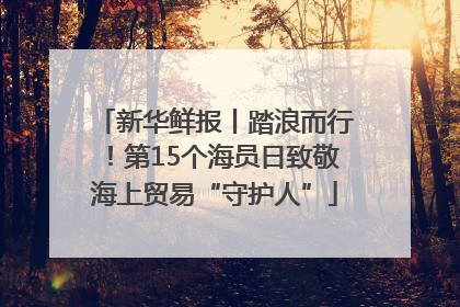 新华鲜报丨踏浪而行！第15个海员日致敬海上贸易“守护人”