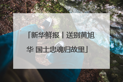 新华鲜报丨送别黄旭华 国士忠魂归故里