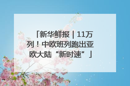 新华鲜报｜11万列！中欧班列跑出亚欧大陆“新时速”