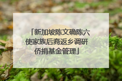 新加坡陈文确陈六使家族后裔返乡调研侨捐基金管理