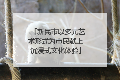 新民市以多元艺术形式为市民献上沉浸式文化体验