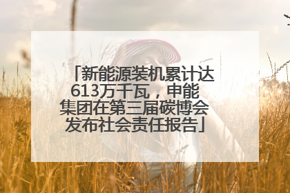 新能源装机累计达613万千瓦，申能集团在第三届碳博会发布社会责任报告