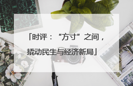 时评：“方寸”之间，撬动民生与经济新局