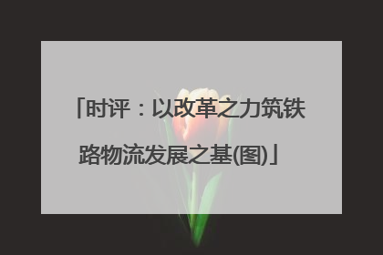 时评：以改革之力筑铁路物流发展之基(图)