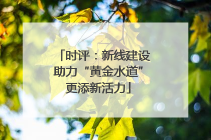 时评：新线建设助力“黄金水道”更添新活力