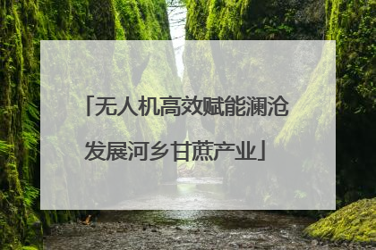 无人机高效赋能澜沧发展河乡甘蔗产业