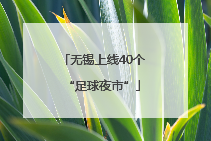 无锡上线40个“足球夜市”