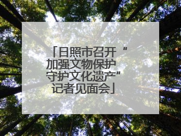 日照市召开“加强文物保护 守护文化遗产”记者见面会