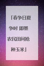 春争日夏争时 即墨农民田间抢种玉米