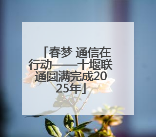 春梦 通信在行动——十堰联通圆满完成2025年