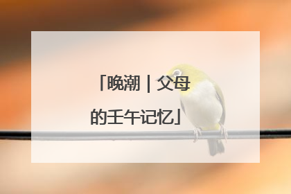 晚潮｜父母的壬午记忆