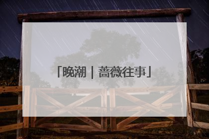 晚潮｜蔷薇往事