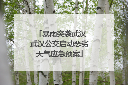暴雨突袭武汉 武汉公交启动恶劣天气应急预案