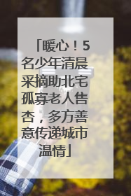 暖心！5名少年清晨采摘助北宅孤寡老人售杏，多方善意传递城市温情