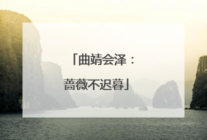 曲靖会泽：蔷薇不迟暮