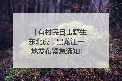 有村民目击野生东北虎，黑龙江一地发布紧急通知