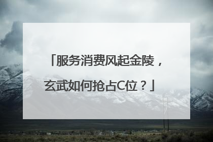 服务消费风起金陵，玄武如何抢占C位？
