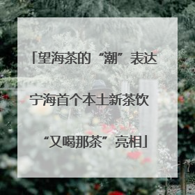 望海茶的“潮”表达 宁海首个本土新茶饮“又喝那茶”亮相