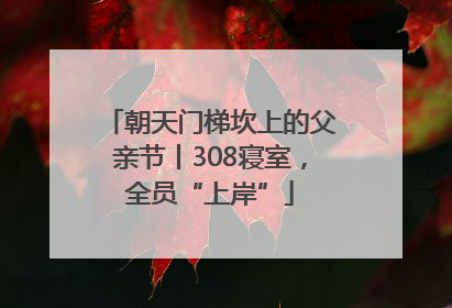 朝天门梯坎上的父亲节丨308寝室，全员“上岸”