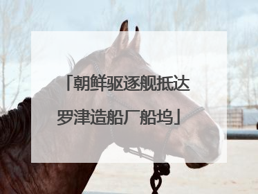朝鲜驱逐舰抵达罗津造船厂船坞
