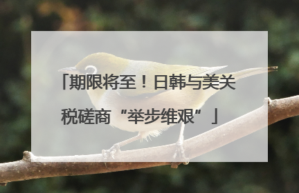 期限将至！日韩与美关税磋商“举步维艰”