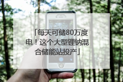 每天可储80万度电！这个大型锂钠混合储能站投产
