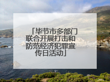 毕节市多部门联合开展打击和防范经济犯罪宣传日活动