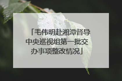 毛伟明赴湘潭督导中央巡视组第一批交办事项整改情况