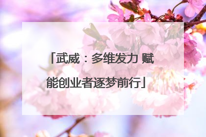 武威：多维发力 赋能创业者逐梦前行