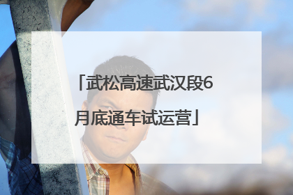 武松高速武汉段6月底通车试运营