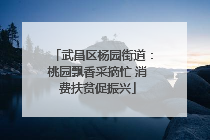 武昌区杨园街道：桃园飘香采摘忙 消费扶贫促振兴
