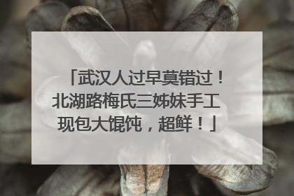 武汉人过早莫错过！北湖路梅氏三姊妹手工现包大馄饨，超鲜！