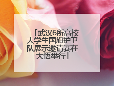 武汉6所高校大学生国旗护卫队展示邀请赛在大悟举行