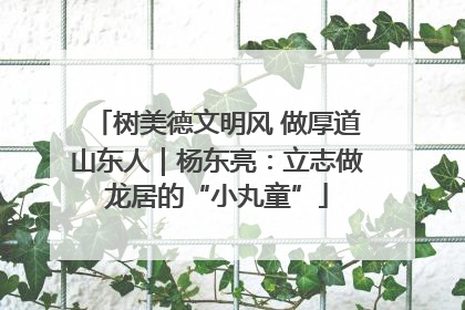 树美德文明风 做厚道山东人｜杨东亮：立志做龙居的“小丸童”