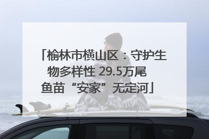 榆林市横山区：守护生物多样性 29.5万尾鱼苗“安家”无定河